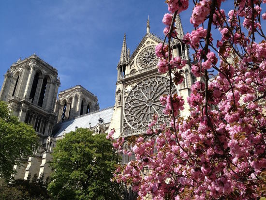 Notre Dame Cathedral: Entrance and Guided Tour of the Distict and Cruise Ticket at 12:45 PM