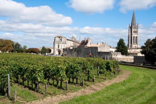 Small Group Tour: Saint Emilion Wine Discovery half-day morning Bordeaux Vineyard Tour