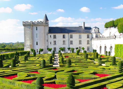 Private: Villandry and Chinon Immersion Between Gardens, Cruise and Wine