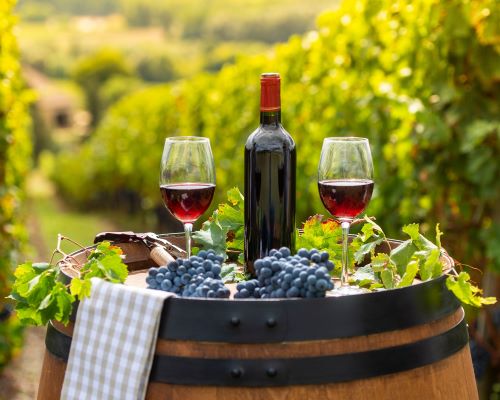 Private: Eastern Touraine Wine Tour - Vouvray and Cheverny