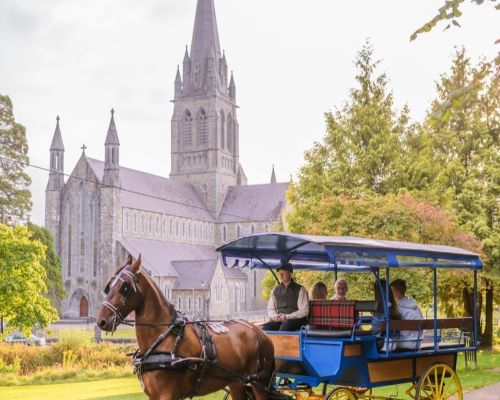 Private Tour from Killarney: Traditional Jaunting Car to Muckross House & Gardens