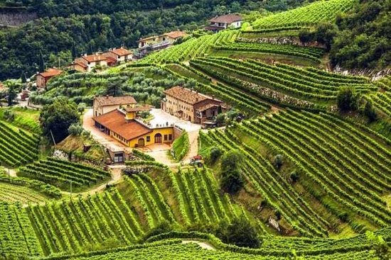 Private Tour: Valpolicella Wine Experience