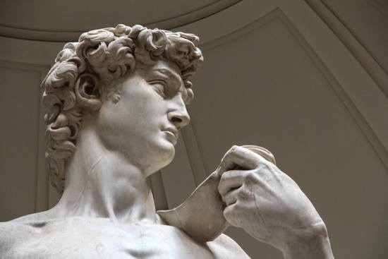 Accademia Gallery Ticket with Direct Access 8:30AM