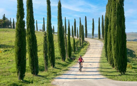 Small Group Tour: From Florence to Chianti by E-Bike: Ride Through Vineyards & Hills