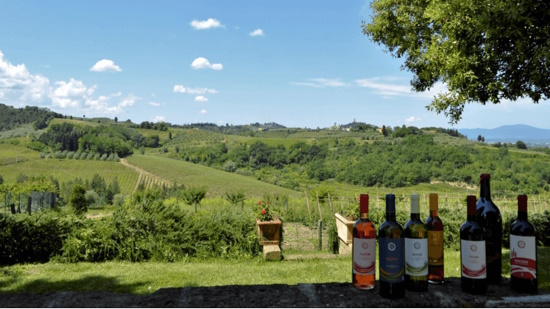 Private Tour: Franciacorta Wine Experience