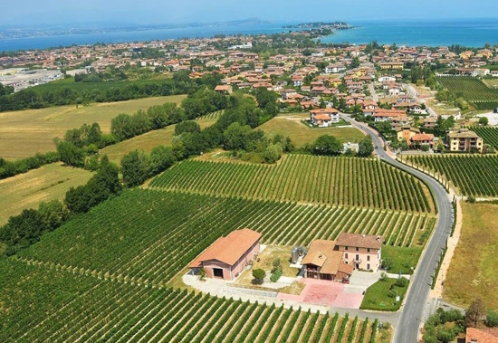 Semi Private Tour: Sirmione and Lugana Wine Experience