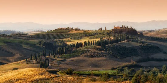 Private Gourmet Safari in Tuscany-Val Dorcia Region from Rome  to Florence