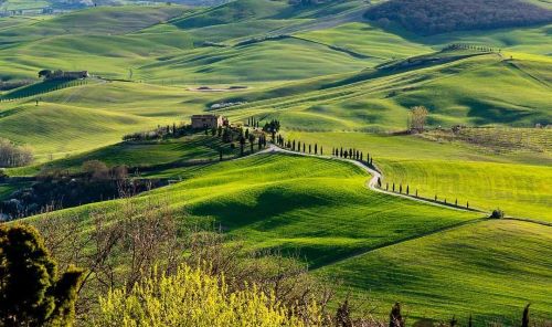 Private Gourmet tour: Val D'Orcia - Food and Tasting local products from Chianti