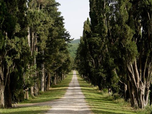 Private Hike Via Francigena (from La Villa to Monteriggioni) from Chianti
