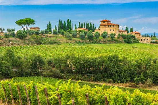 Wheelchair-Accessible Private Tour: Chianti Classico with Wine and Food Tasting in a Historic Estate Afternoon