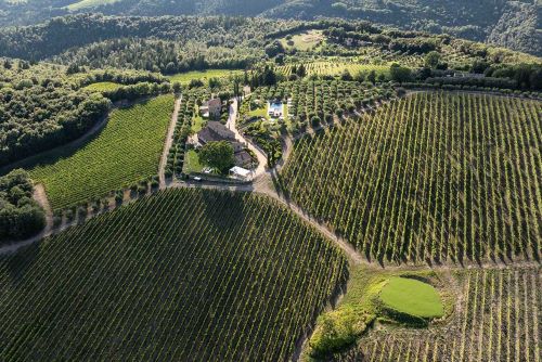 Private Tour: Excursion to San Gimignano with Light Lunch & Tasting at Il Cellese