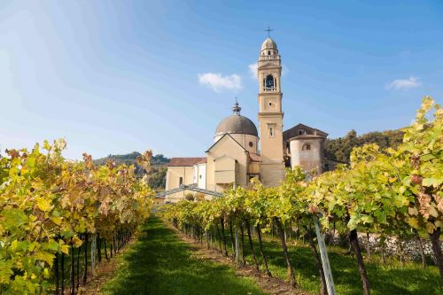 Private Wine & Food Experience in Valpolicella