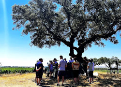 Private Tour: Cork Forest & Wine Tasting in Alentejo