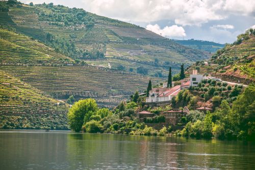 Small group: Full Day Douro Valley Tour with Wine Cellar Visits, Lunch, and River Cruise