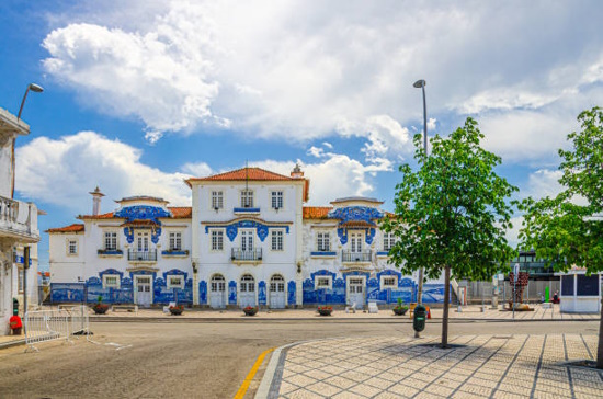 Shared Tour: Aveiro and Costa Nova Tour - Afternoon