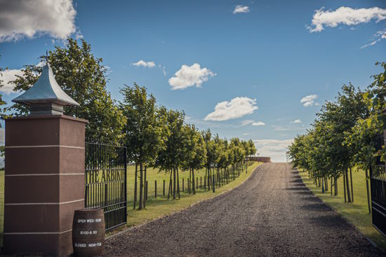 Shared Tour: Field to Bottle Whiskey Distillery Tour & Tasting