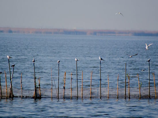 Shared Tour: Excursion to the Albufera Natural Park