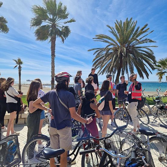 Private Bike Tour in Malaga