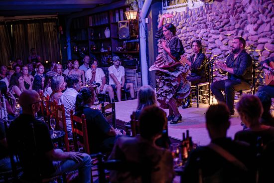 Shared Flamenco show and dinner in Malaga