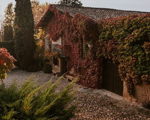 Private Tour: Rioja Elevated Experience