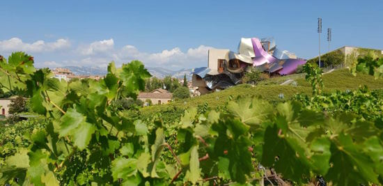 Small Group: Rioja Wine Tour and Lunch