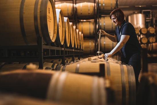 Small Group: Rioja Wine Tour (2 Wineries)