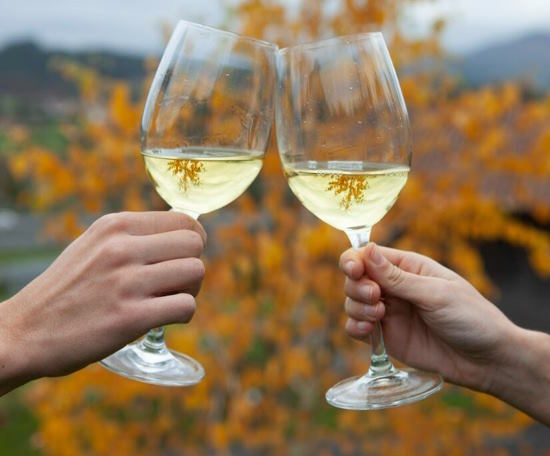 Small Group: Getaria Txakoli Wine Tour