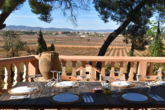 Small Group: Half-Day Winery Tour and Tasting