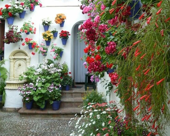 Private Tour: City Tour - Patios de Cordoba