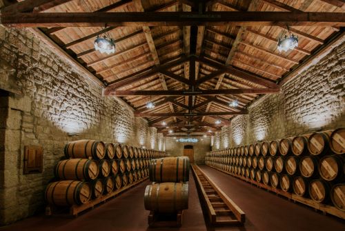 Private Tour: Rioja Premium Full Day Tour