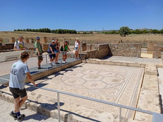 Small Group: Italica eBike tour