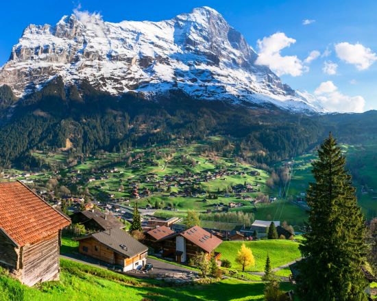 Private Tour: 9 hours Grindelwald First and Bachalpsee Tour