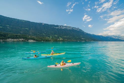 Half Day Kayak Tour - Winter