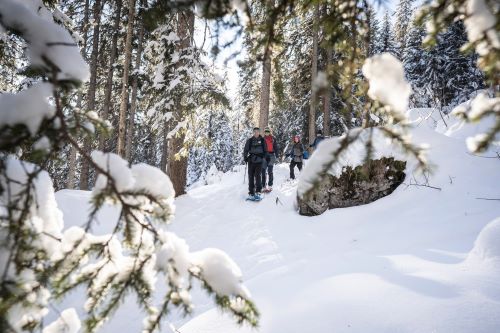 Private Taster Course Snowshoeing