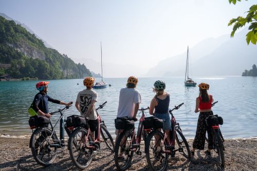 Scenic E-Bike Tour (2.5 hours) from Interlaken - Noon