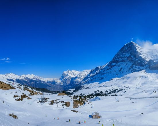 Shared Tour: Swiss Ski Experience from Zurich **VENDOR VOUCHER**