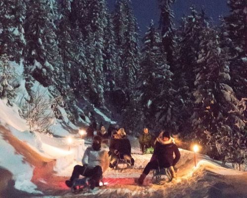 Private Night Sledding with Fondue