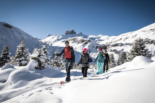 Snowshoeing in the Swiss Alps