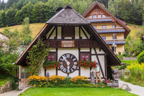 Private Secrets of the Black Forest from Lucerne Tour